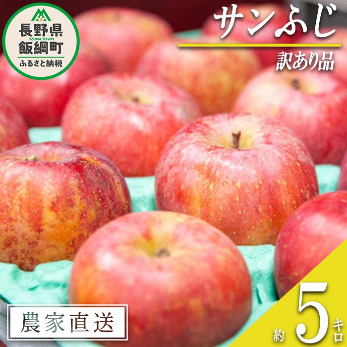 りんご サンふじ 訳あり 5kg 永野農園 沖縄県への配送不可 令和7年度収穫分 長野県 飯綱町 〔 信州 果物 フルーツ リンゴ 林檎 長野 予約 農家直送 13000円 〕発送時期:2025年12月上旬〜2026年2月上旬