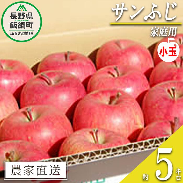 りんご サンふじ 家庭用 ( 小玉 ) 5kg 松橋りんご園 沖縄県への配送不可 令和7年度収穫分 長野県 飯綱町 【 信州 果物 フルーツ リンゴ 林檎 12000円 長野 】発送時期:2026年1月上旬〜2026年3月上旬 {**}