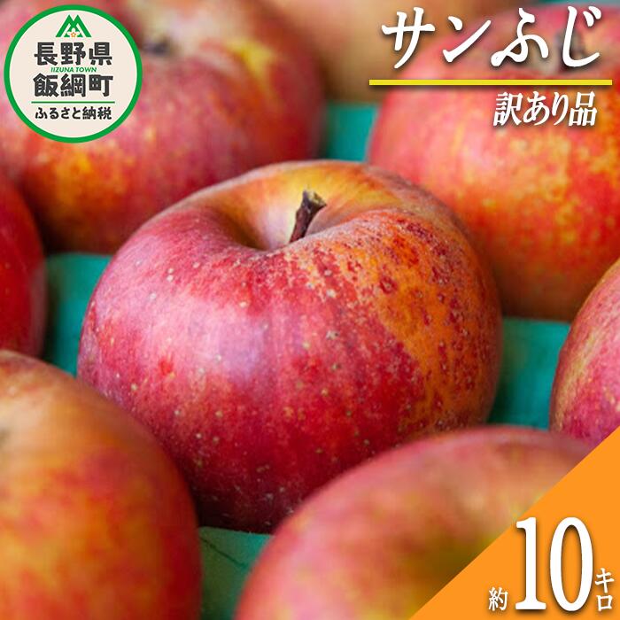 りんご サンふじ 訳あり 10kg ふるさと振興公社 長野県 飯綱町 〔 林檎 リンゴ 果物 くだもの フルーツ 長野 22000円 〕 発送期間:2025年12月上旬〜2026年2月下旬 {*}
