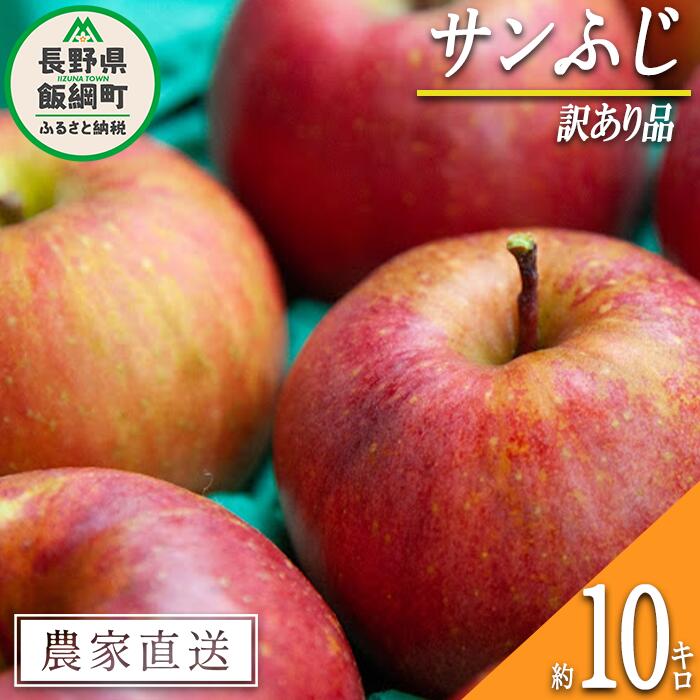 りんご サンふじ 訳あり 10kg 原山農園 沖縄県への配送不可 令和7年度収穫分 長野県 飯綱町 〔 傷 不揃い リンゴ 林檎 果物 フルーツ 信州 長野 18000円 予約 農家直送 〕発送時期:2025年12月中旬〜2026年2月上旬{*}