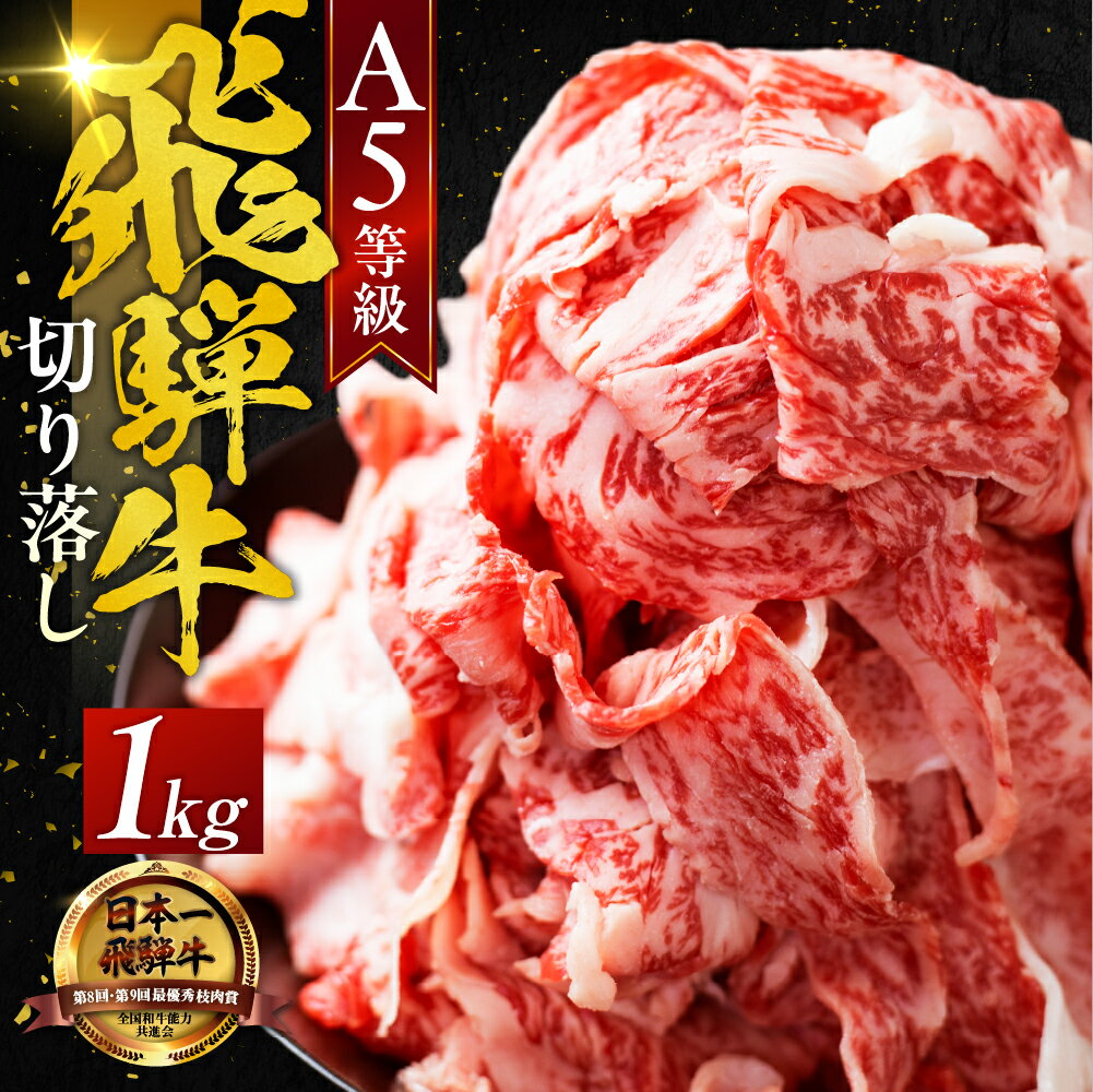 \高評価★4.8/最高級 A5 飛騨牛 切り落とし 1kg (500g×2) 牛肉 定期便 選べる 3回 / 6回 / 12回 訳あり 不揃い 家庭用 小分け すき焼き 牛丼 おすすめ 黒毛和牛 人気 岐阜県 大垣市 ランキング 切落し 牛肉 肉