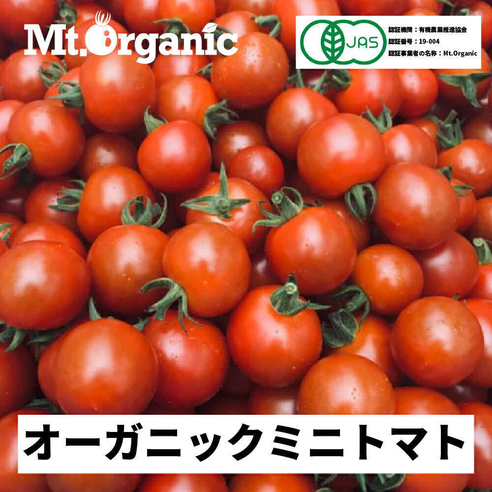 《令和8年産先行予約》 オーガニック ミニトマト 約1.2kg 約4kg 選べる 農家直送 有機JAS認証 有機 プチトマト 2026年発送《hida0307》