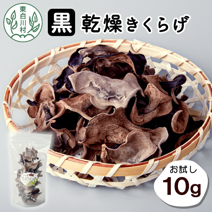 高評価★5.00 東白川村産 乾燥 きくらげ ホール お試し10g 純国産 きのこ 乾燥きくらげ きくらげ 木耳 キクラゲ 希少 ビタミンD 食物繊維 野菜 きのこ おためし つちのこの村 1000円 1000円ポッキリ 楽天スーパーセール