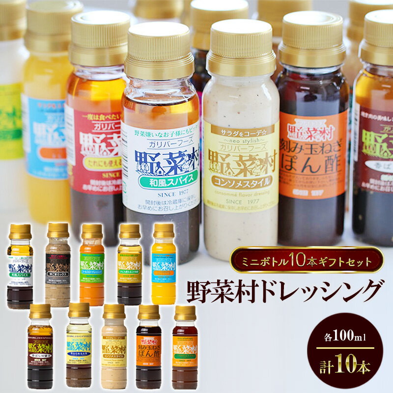 野菜村ドレッシング ミニボトル10本 ギフトセット 各100ml 計10本 セット 化粧箱入 包装有 静岡 浜松市