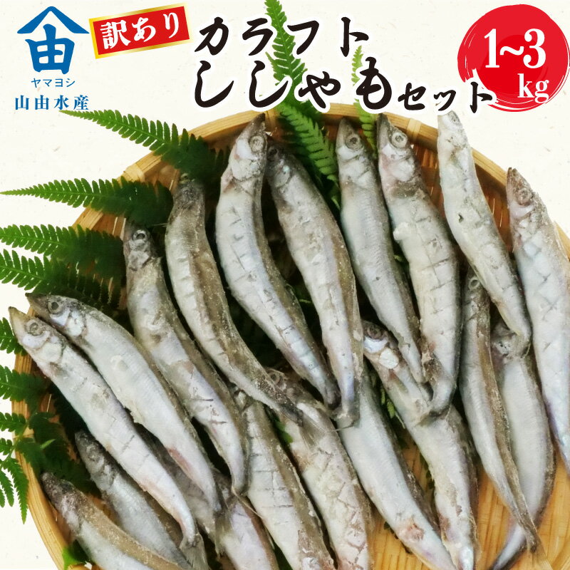 訳あり ししゃも 1~3kg カラフト 丸干し 干物 ひもの セット 冷凍 沼津 静岡 選べる 魚 海鮮 シシャモ 柳葉魚 魚介 惣菜 子持ち グルメ 食べ物 人気 ランキング 冷凍