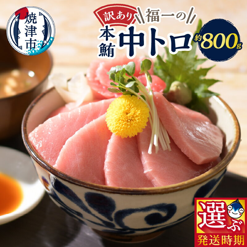 【お届け時期が選べる】 訳あり まぐろ 刺身 本マグロ 中トロ 魚 冷凍 焼津 約800g 選べるお届け月 ご自宅用 a21-065