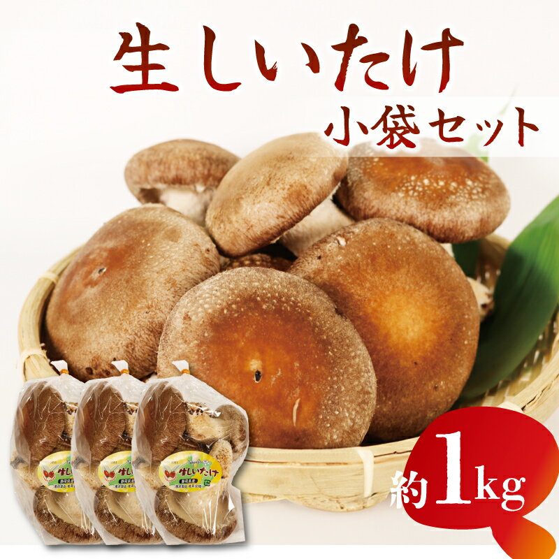 生しいたけ 小分け袋 約 1kg シイタケ 椎茸 朝収穫 食べ応え 肉厚 うまみ 菌床栽培 裁判期間中 農薬不使用 きのこ 国産 新鮮 贅沢 栄養豊富 料理 煮物 焼き物 炒め物 味噌汁 パスタ 健康 ビタミンD 低カロリー 藤枝市 静岡県