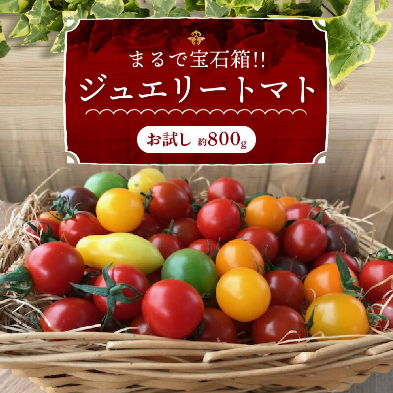 ジュエリートマト 約 800g お試し 長田農園 フルーツ ミニトマト トマト カラフル 色とりどり 野菜 宝石箱 新食感 甘い 濃厚 完全木熟 塩農法 ハウス栽培 美容 健康 リコピン お取り寄せ 食品 産地直送 愛知県 碧南市 送料無料