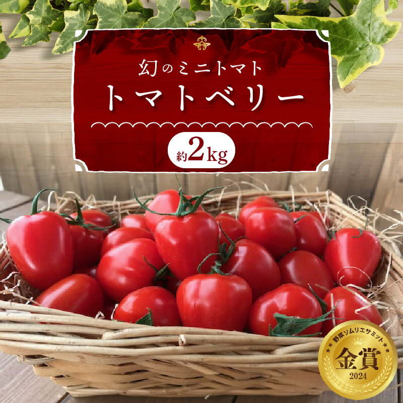 フルーツミニトマト 約 2kg トマトベリー 産地直送 甘さ抜群 トマト苦手な方にもオススメ トマト 甘い 濃厚 幻 ミニトマト いちご型 肉厚 皮が薄い 野菜ソムリエサミット 金賞 受賞 長田農園 リコピン 野菜 やさい フルーツ サラダ 食品 お取り寄せ 送料無料