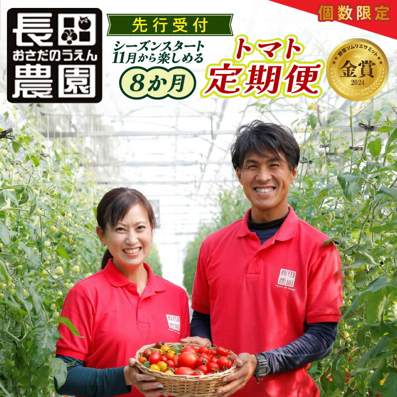 先行受付 トマト その他野菜等 定期便 全8回 溢れる 果汁 さくらんぼトマト 果肉 食感 いちごトマト 色 形 さまざま ジュエリートマト 濃厚 甘み 酸味 バランス 絶妙 フルーツトマト 碧南にんじん トマトジュース 新たまねぎ 野菜 愛知県 碧南市 送料無料