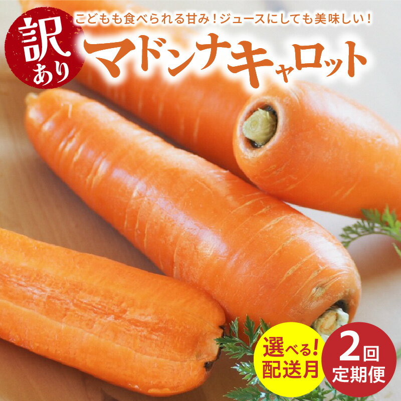 <フジテレビ『どっちのふるさと?』で紹介されました!>訳あり定期便 2回 選べる 配送月 マドンナキャロット にんじん 5kg お届け キャロット 野菜 国産 不揃い 健康 食品ロス 削減 こどもも食べられる 甘み 愛知県 碧南市 お取り寄せ 産地直送 送料無料
