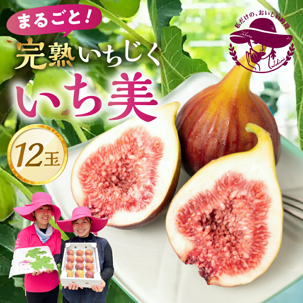 ≪先行予約≫ 完熟いちじく 12玉 『いち美』お届け時期が選べる 朝採れ イチジク 無花果 果物 国産 スイーツ フルーツ 旬 くだもの 甘い 高糖度 いちじく ご褒美 人気 高級 贈答 ギフト 冷蔵 渥美半島 愛知県 田原市 13000円