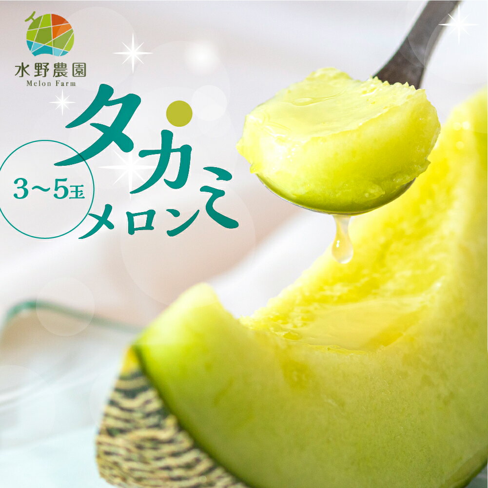 先行予約 タカミメロン 2玉 / 3〜5玉 5kg 水野農園  2026年6月中下旬以降順次発送 メロン めろん 先行受付 フルーツ 果物 お中元 お取り寄せ ギフト 渥美半島 田原市 産地直送 送料無料 メロン 糖度 メロン 青肉 ド甘い 暑さ 対策 暑さ対策