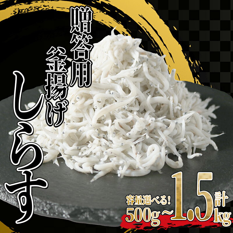 <圧倒的高評価★4.88> 釜揚げ しらす 500g 1kg 1.5kg ふるさと納税 釜揚げ しらす 贈答 贈り物 ギフト 父の日 母の日 プレゼント 冷凍 小分け たっぷり 大容量 国産 本場 惣菜 夕食 晩ごはん おかず シラス丼 愛知県 南知多町