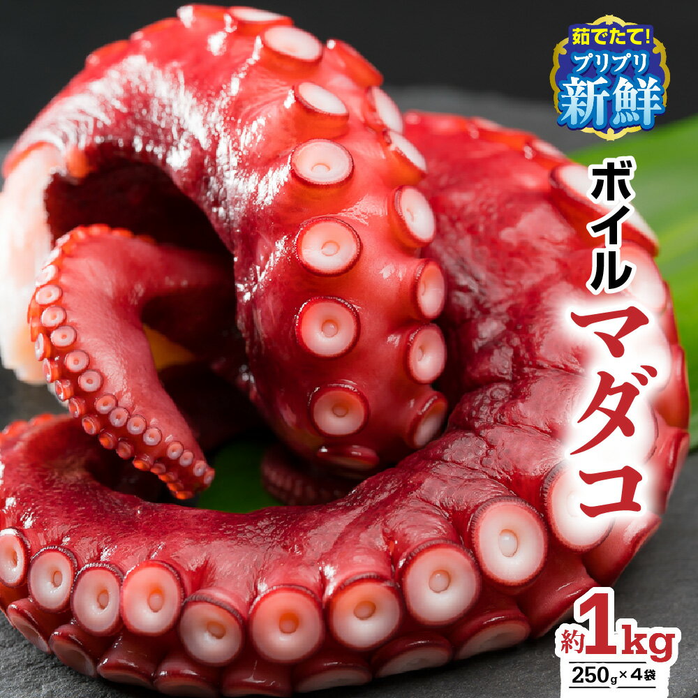 【冷蔵】ボイルマダコ 約1kg〈250 g×4袋〉小分けセット《到着日時指定必須商品》 小分け 旨味凝縮 ふっくら やわらか 新鮮 真だこ たこ タコ 蛸 たこ 刺身 タコから揚げ タコの唐揚げ たこ焼き タコ焼き 酢だこ 肴 簡単 人気|解凍不要・すぐ使える MT-8