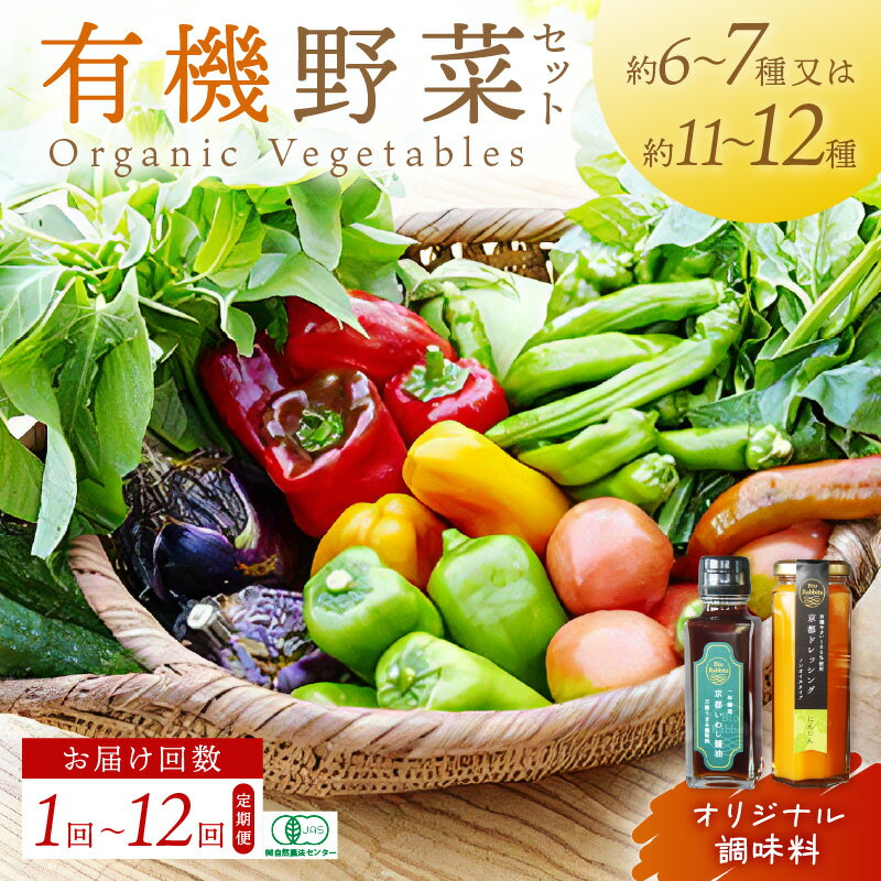 有機JAS認証 <てんとうむしばたけ>オーガニック野菜セット 有機野菜 6〜7種 2人用 11〜12種 4人用 定期便 調味料 ドレッシング 選べる 農家直送 京都直送 野菜 詰め合わせ 野菜セット 国産 京都産 ふるさと納税 野菜