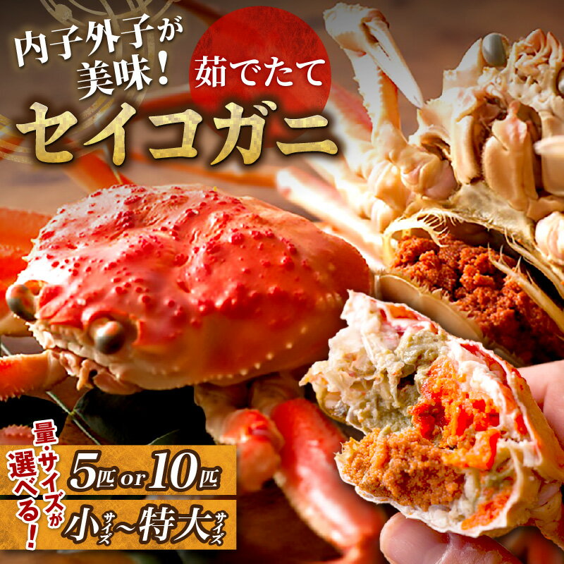 先行予約開始/高評価★4.82【蟹の匠 魚政】内子外子が美味! 茹でたて セイコガニ (セコ蟹) (香箱ガニ) (こっぺ) 選べる 内容量 サイズ 5匹セット 10匹セット 小サイズ~特大サイズ カニ 蟹 セイコ蟹 セコガニ 香箱ガニ コッペガニ ボイル