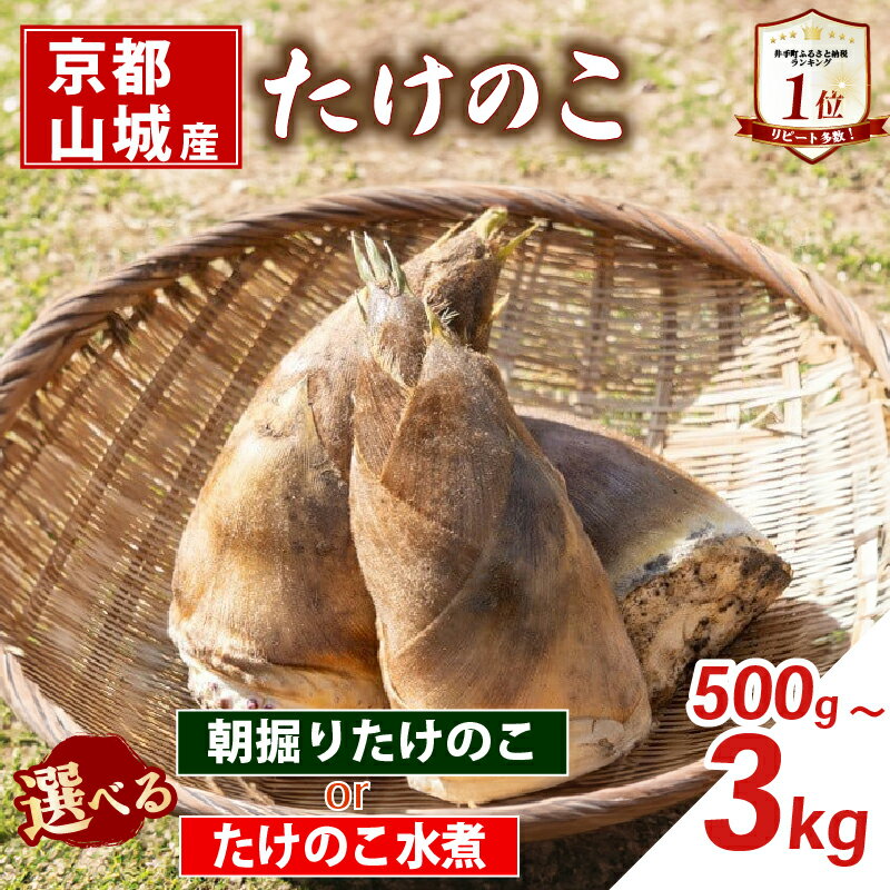 【京都山城産】 <先行予約> 朝掘りたけのこ (26年4月発送) / たけのこ水煮 選べる 缶詰 筍 竹の子 白子筍 京都 山城 産 京たけのこ たけのこ 国産 京野菜 野菜 国産 炊き込みご飯 煮物 小分け まとめ買い 常温保存 井手町 送料無料 まるやま食品