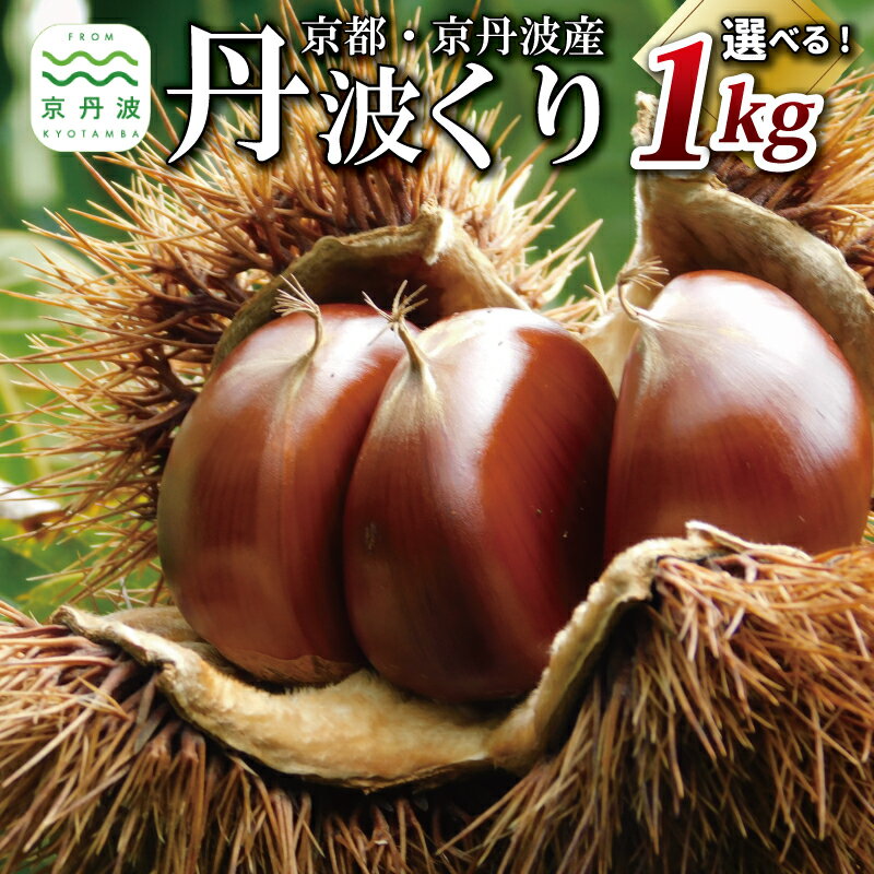 丹波くり 1kg 選べる とれたて チルド熟成 3L 4L サイズ 京都 京丹波町産 大粒 生栗 和栗 国産 丹波栗 ※北海道・沖縄・その他離島は配送不可