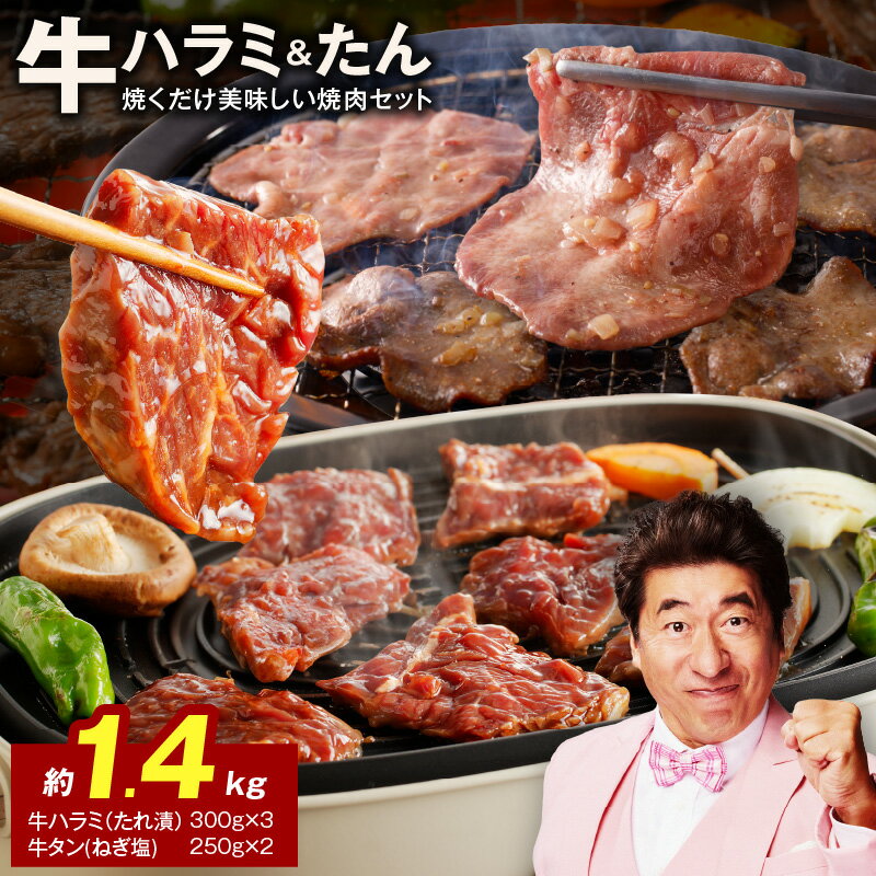 焼肉セット 総量 1.4kg 大人気 ファミリー向け 薄切り スライス ねぎ塩 牛タン やわらか ジューシー 牛ハラミ肉 たれ漬 焼肉 BBQ 肉 牛肉 冷凍 焼くだけ 簡単 食品 お取り寄せ 大阪府 泉佐野市 送料無料 肉の泉佐野