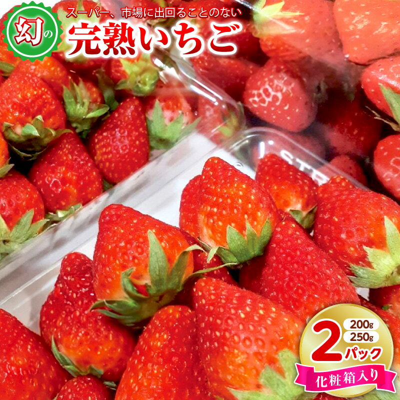 【先行予約】 期間限定 いちご 250g / 200g × 2パック 化粧箱入り 特別規格 55キャンペーン 朝摘み 完熟いちご 国産 泉佐野市産 フルーツ 果物 化粧箱 直送 甘い 濃い 食品 食べ物 ギフト プレゼント お取り寄せ 泉佐野市 辻農園 冷蔵 送料無料