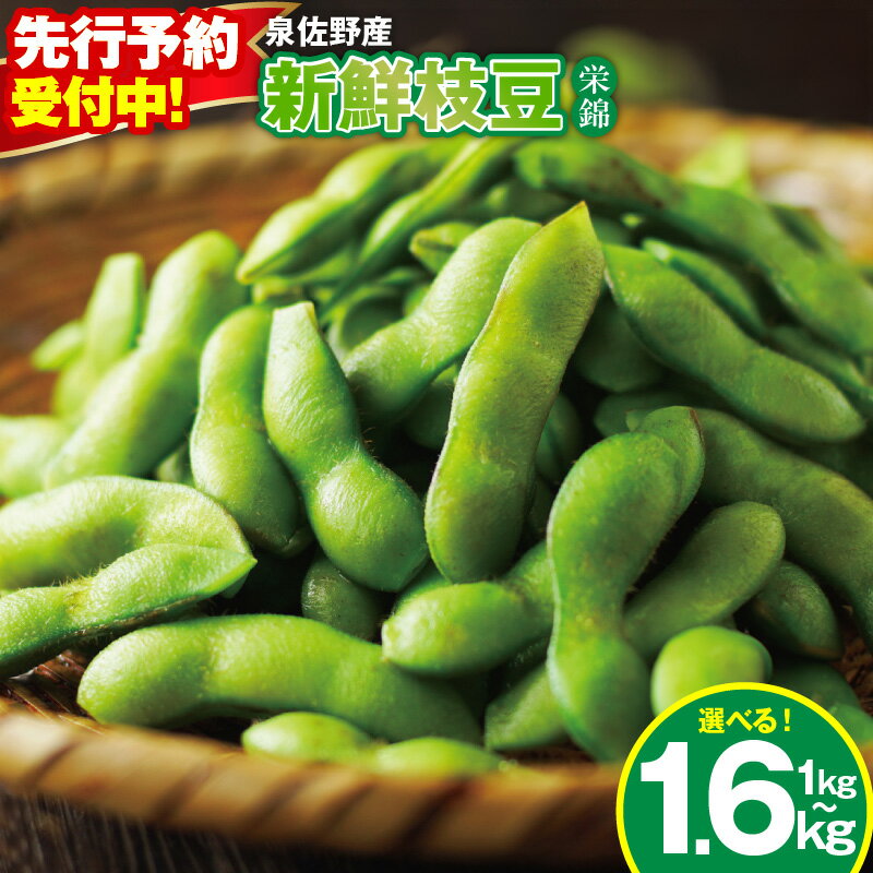 【先行予約】 新鮮 枝豆 栄錦 選べる 内容量 200g×5袋 / 8袋 合計 1kg / 1.6kg 生枝豆 コク 風味 晩酌 お酒 おつまみ ビール お供 塩ゆで 生鮮食品 野菜 お取り寄せ グルメ 大阪府 泉佐野市 送料無料