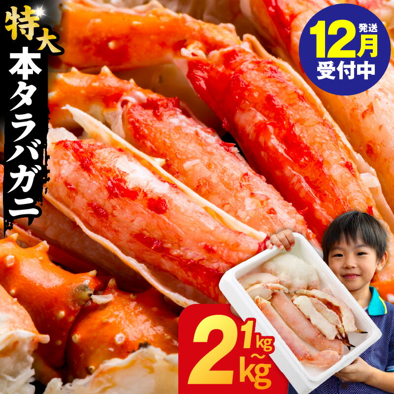 【年内発送受付中】タラバガニ 特大 選べる 1kg / 2kg 訳あり 規格外 サイズ不揃い ボイル済 脚 簡単 弾力 カニ鍋 焼きガニ カニ雑炊 魚介類 海の幸 海鮮 冷凍 ランキング急上昇中 大阪府 泉佐野市 送料無料