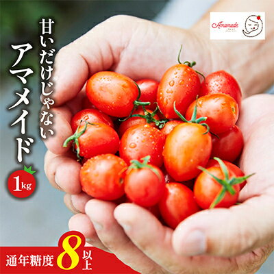 【1kg】ミニトマト 糖度8以上 アマメイド  リピーター続出の人気野菜_ トマト ミニトマト アマメイド 野菜 やさい 人気 おすすめ 送料無料 ブランド バッグ栽培 【1502576】