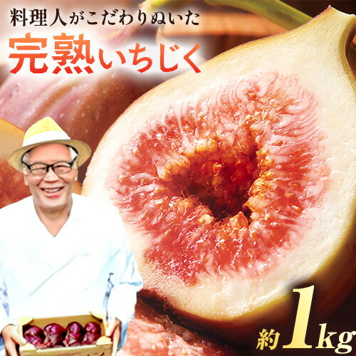 【2026年先行予約】料理人がこだわりぬいた 完熟いちじく1箱 約1kg 無花果 イチジク 桝井ドーフィン はびいち農園《2026年8月上旬-10月中旬頃出荷》大阪府 羽曳野市 果物 フルーツ 送料無料 大阪府