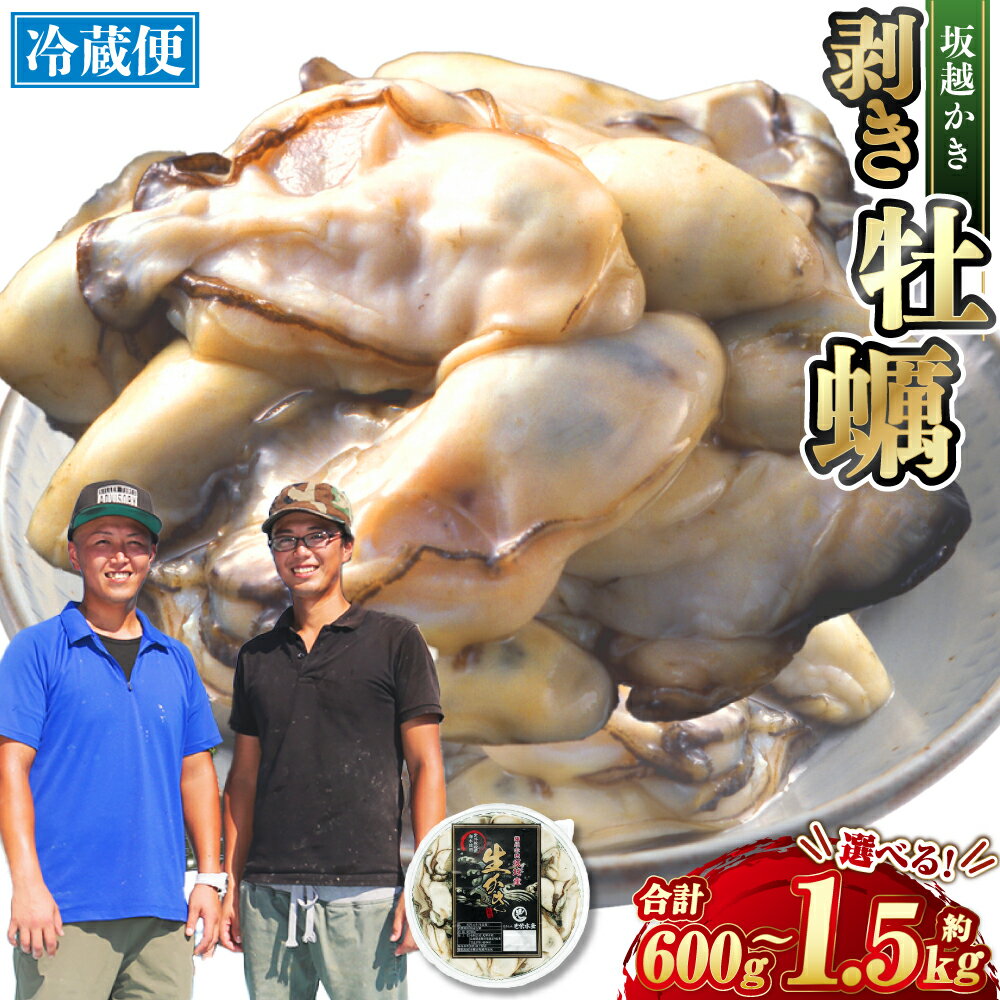 <選べる容量> 牡蠣 坂越かき 剥き牡蠣 約600g 約1kg 約1.5kg / かき カキ オイスター 生牡蠣 生カキ 生ガキ 生がき 剥き身 魚介 貝 海産物 生食 パック 瀬戸内海 坂越湾 兵庫県 赤穂市 冷蔵 送料無料 【2025年12月上旬-2026年4月下旬まで発送予定】