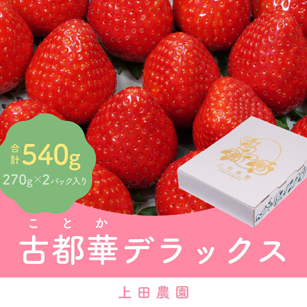 (冷蔵)イチゴ 奈良県産高級ブランド品種「古都華」デラックス(270g×2パック) / 上田農園 苺 いちご 果物フルーツ 甘い 奈良県 田原本町