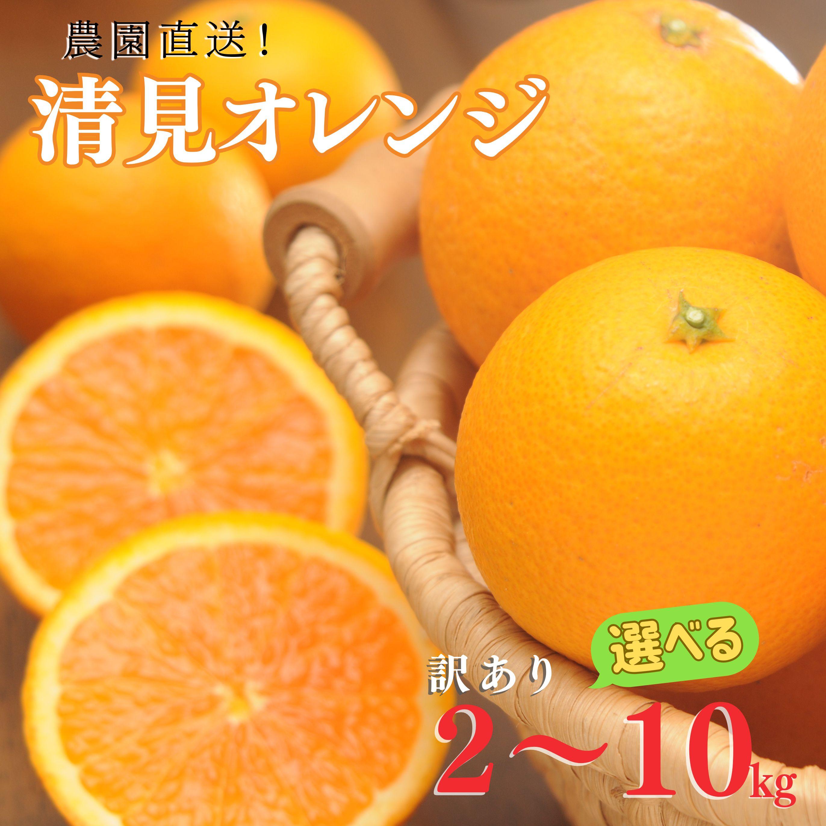 【選べる内容量(2kg~10kg)】清見オレンジ(大小混合)《ご家庭用》ちょっと訳あり 和歌山県より農園直送! | 和歌山 果物 みかん 訳アリ わけあり 清見タンゴール 清美
