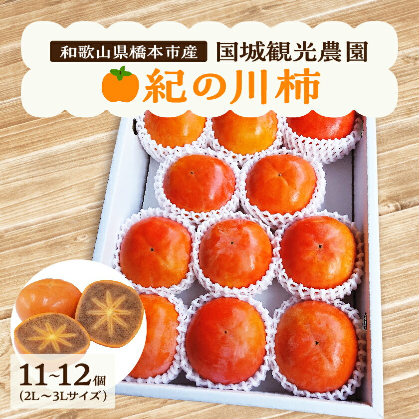 国城観光農園の紀の川柿11~12個(2L~3Lサイズ)_ 果物 くだもの フルーツ 柿 かき 和歌山 人気 送料無料 【1077105】