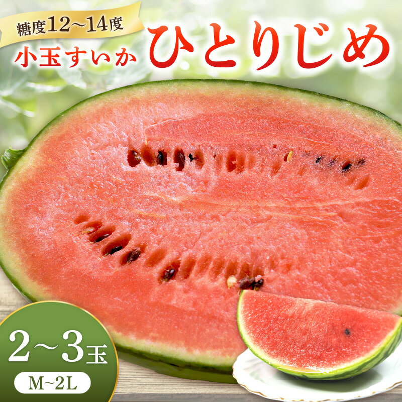 《数量限定》小玉すいか(ひとりじめ)2~3玉 和歌山産《先行予約》【2026年6月上旬頃から順次発送予定】 ふるさと納税 すいか ふるさと納税 西瓜 ふるさと納税 スイカ フルーツ 果物 送料無料 小玉 スイカ