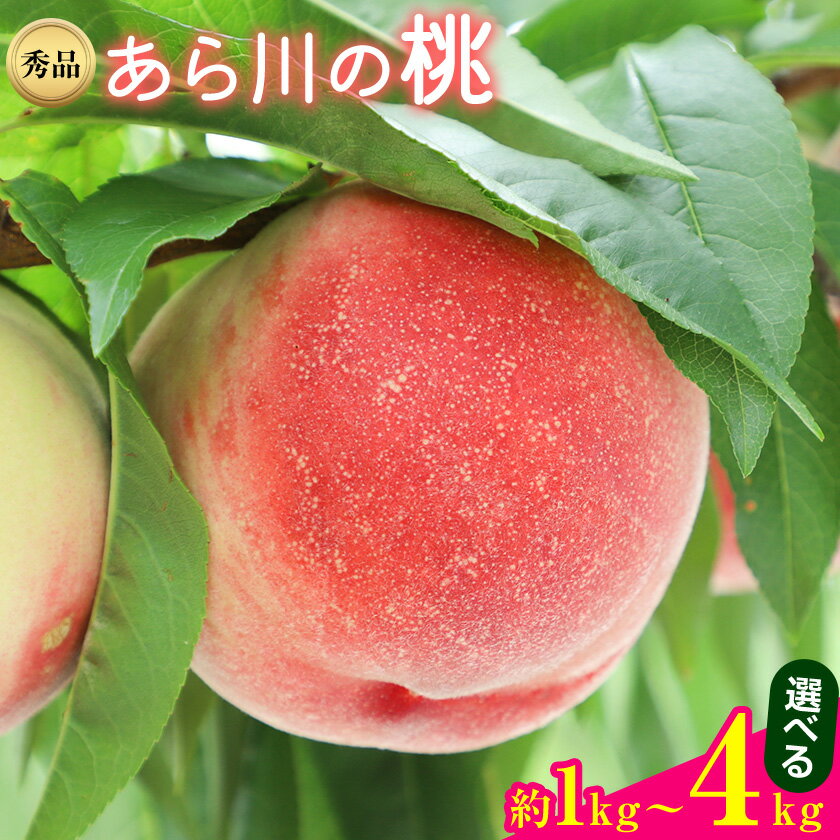 【先行予約】和歌山県紀の川市産あら川の桃 選べる 約1kg〜4kg 秀品 前商店《2026年6月末-7月中旬頃出荷》 和歌山県 紀の川市 産地直送 もも モモ 果物 フルーツ
