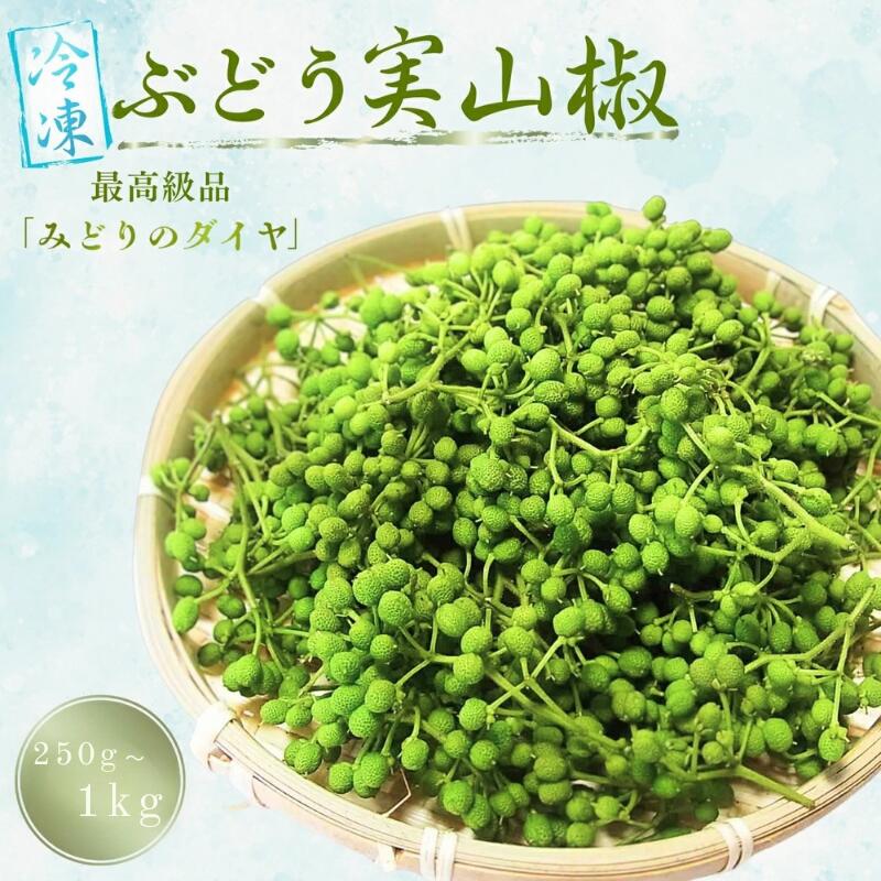 山椒 冷凍ぶどう山椒 【選べる容量】 250g 1kg / さんしょう 香辛料 調味料 薬味 冷凍 ぶどう山椒 生山椒 和歌山県 紀美野町 生実山椒