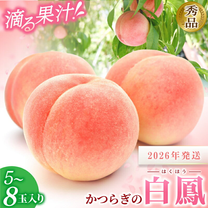☆2026年先行予約☆ 桃 和歌山県産 白鳳 5〜8玉 秀品 ☆化粧箱入☆ 【2026年6月下旬から7月下旬ごろ発送】 桃 もも モモ 果物 くだもの フルーツ 先行予約 白鳳 人気 和歌山の桃 贈答 贈り物 プレゼント 数量限定 お取り寄せ かつらぎ町 送料無料