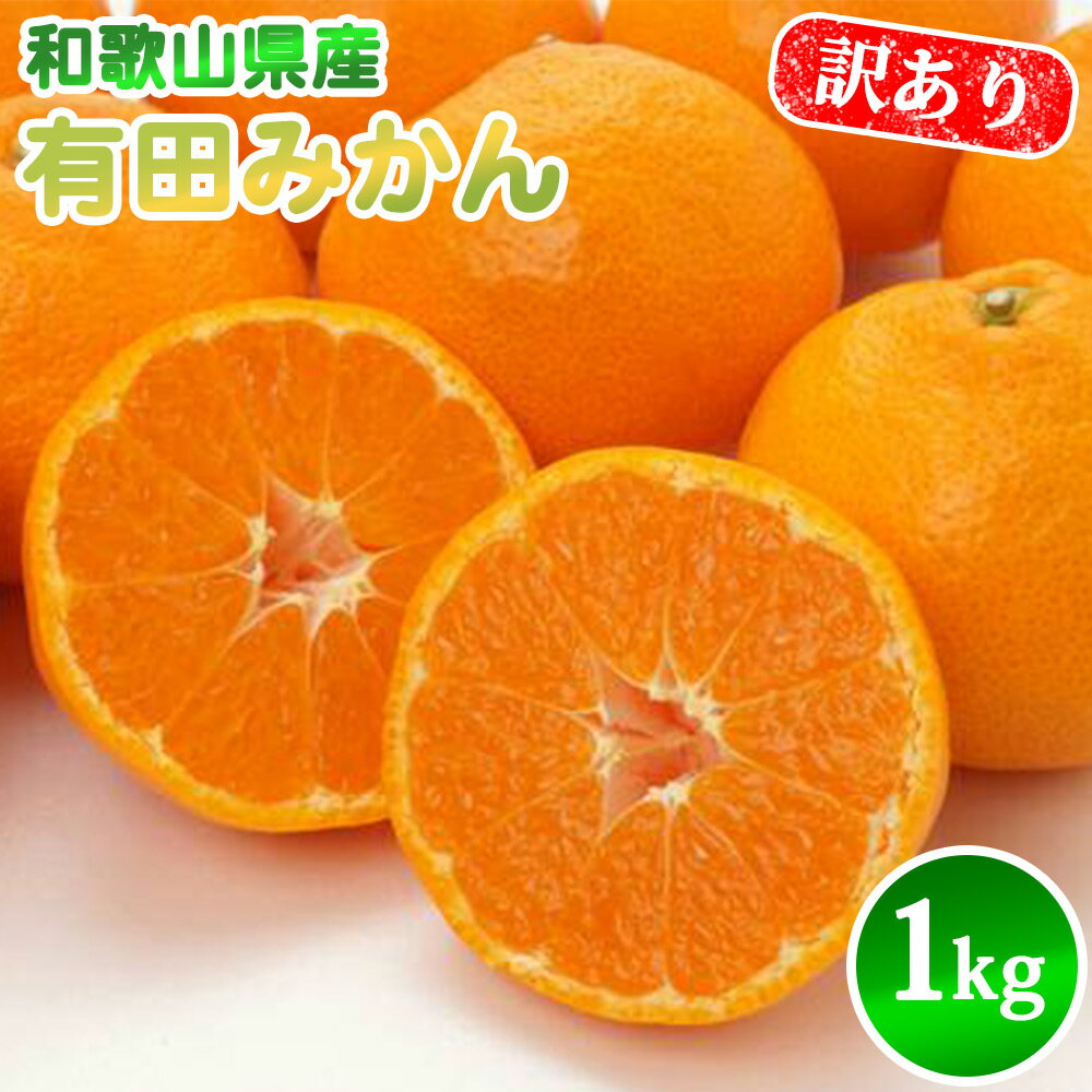 【2025年先行予約】有田みかん 1kg SS ~ 2L サイズ混合 訳あり 有田 みかん フルーツ 果物 果実 柑橘 甘い 国産 食品 食べ物 農家直送 お取り寄せ 里美農園 和歌山県 湯浅町 送料無料
