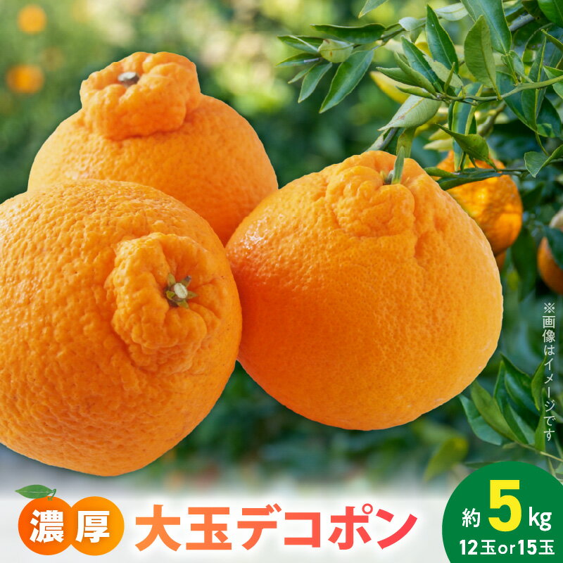 【2026年先行予約】【限定】 デコポン 約 5kg 大玉 12玉 15玉 おまかせ 不知火 濃厚 甘味 ほどよい 酸味 バランス 抜群 味わい 大人気 有田産 厳選 フルーツ 果物 柑橘 果実 国産 食品 食べ物 おやつ デザート お取り寄せフルーツ 和歌山県 湯浅町 送料無料