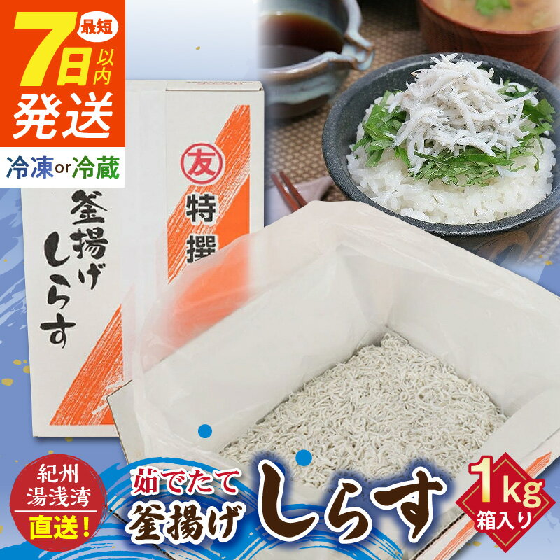 【限定】 《7日以内発送》 高評価★4.94 釜揚げしらす 1kg 箱入り 選べる 配送方法 冷凍 冷蔵 県優良県産品 認定 紀州湯浅湾 直送 茹でたて 新鮮 釜揚げ しらす 踊り炊き 旨み ぷりぷり しらす丼 無着色 国産 海の幸 海鮮 魚介 和歌山県 湯浅町 送料無料