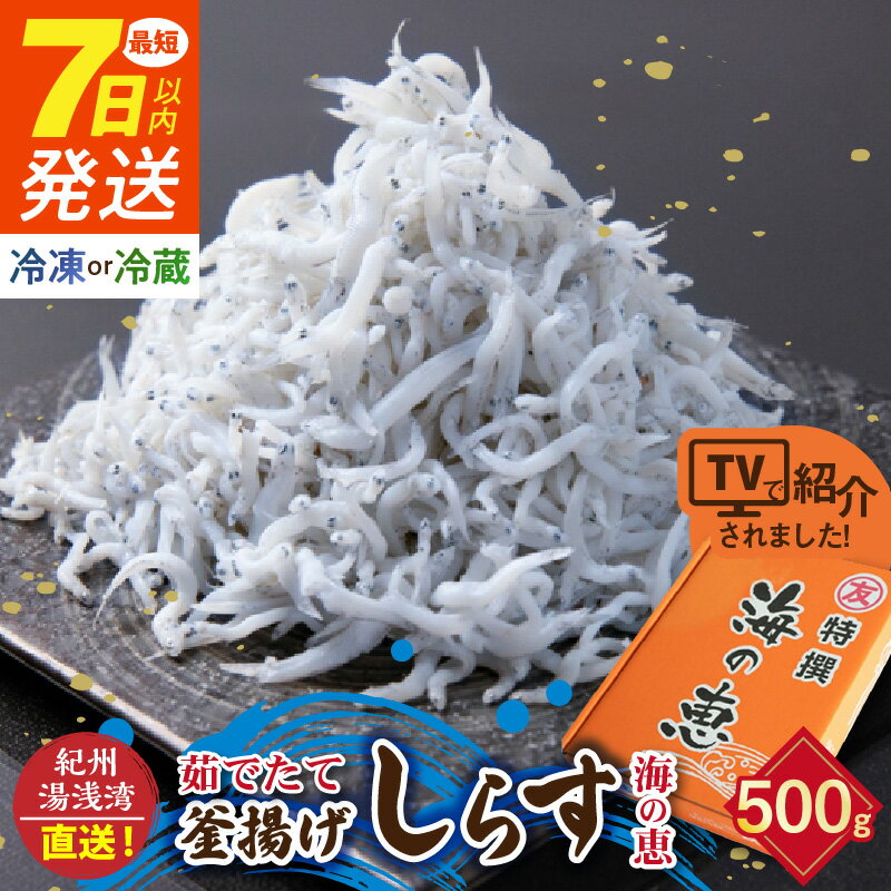 【限定】 《7日以内発送》 高評価★4.88 選べる 冷蔵 冷凍 茹でたて 釜揚げしらす 海の恵み 500g 紀州湯浅湾直送!【しらす干し ちりめんじゃこ シラス】