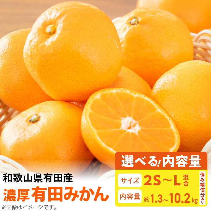 【限定】 【農家直送】 濃厚 有田みかん サイズ2S-L 選べる容量 1.3kg ~ 10.2kg【ミカン 蜜柑 オレンジ 柑橘 温州みかん 和歌山 有田】
