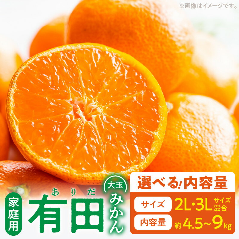 【限定】 ご家庭用 有田みかん 大玉 2L 3L サイズ混合 選べる 内容量 約4.5kg 約9kg 和歌山県 湯浅町 お取り寄せ 送料無料