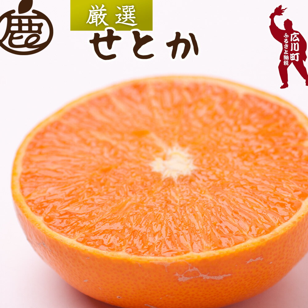 厳選 せとか 光センサー / 甘い 和歌山 柑橘 1kg 5kg 10kg ※2月中旬〜3月下旬頃発送 ※北海道・沖縄・離島への配送不可 //dekopon