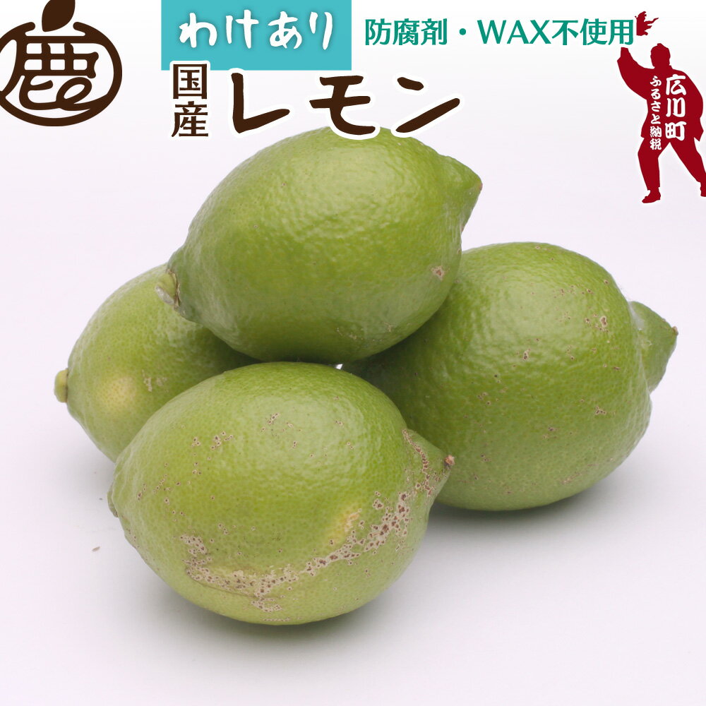 黒潮 レモン 家庭用 / 国産レモン 訳あり 和歌山 有田 柑橘 防腐剤・WAX不使用 5000円 ※9月上旬〜6月中旬に順次発送 ※北海道・沖縄・離島への配送不可 //lemon