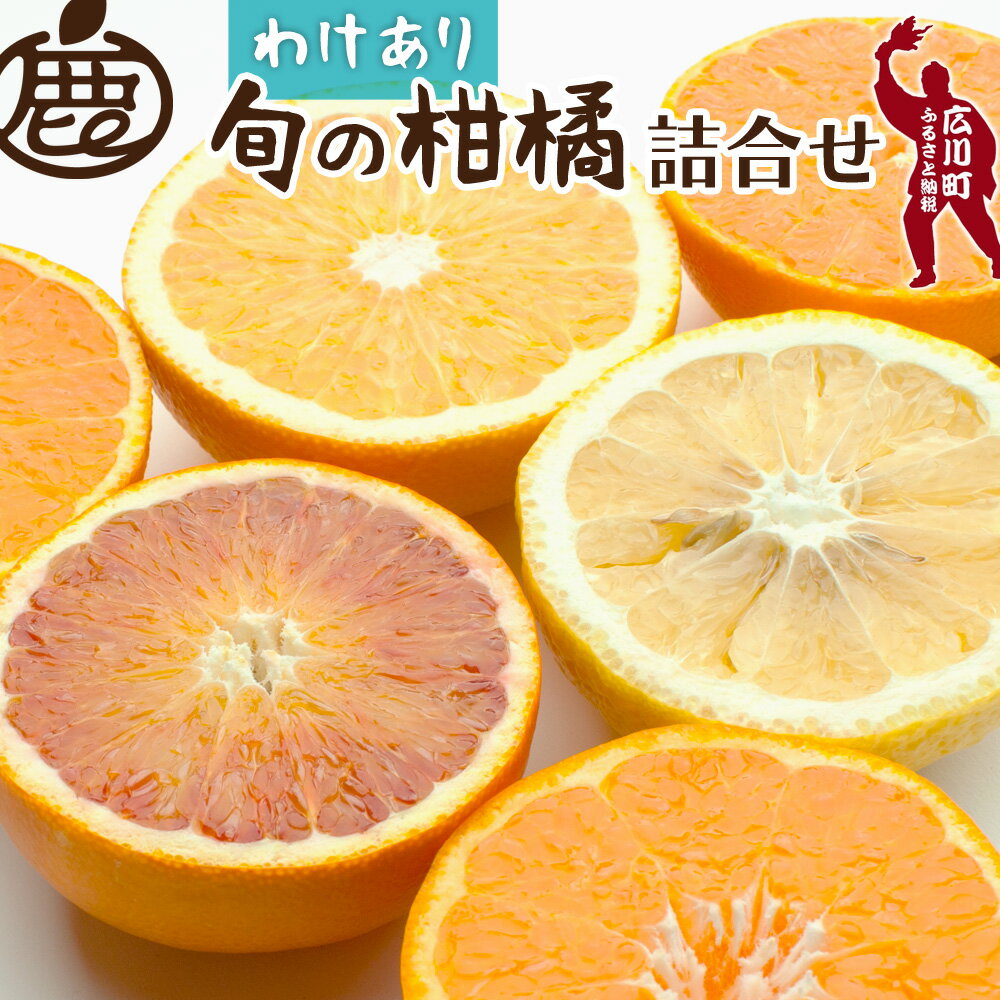 柑橘 詰合せ 訳あり 光センサー / みかん 不知火 清見 八朔 伊予間 セミノール レモン 3種類以上 詰め合わせ 晩柑 5000円 8000円 5kg 10kg ※1月上旬〜6月上旬に順次発送 ※北海道・沖縄・離島への配送不可 //hassaku