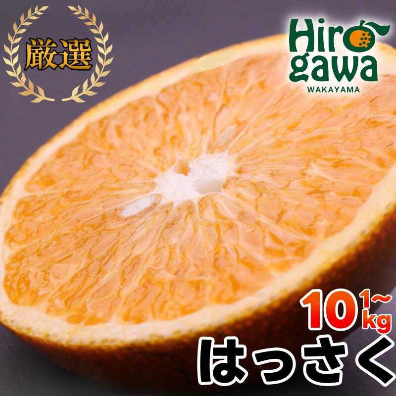 厳選 はっさく 5000円 7000円 11000円 14000円 ※1月上旬〜4月上旬頃に順次発送予定 ※北海道・沖縄・離島への配送不可 / 八朔 みかん サイズ混合 柑橘 果物 フルーツ 和歌山 紀州 有田 //hassaku