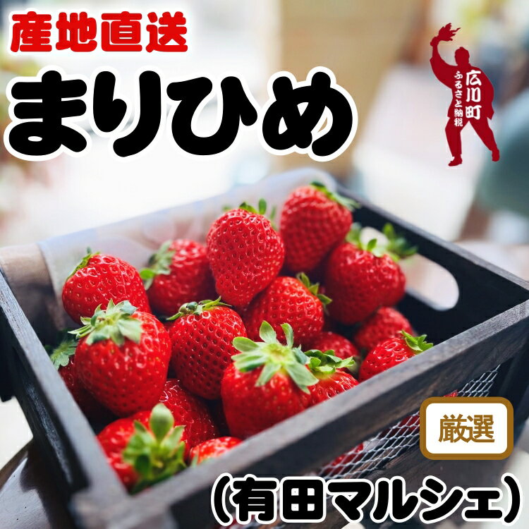 朝摘み 完熟 まりひめ いちご 600g 1200g 和歌山ブランド苺 / フルーツ 果物 くだもの 果実 和歌山 有田 ※2026年1月上旬~2026年3月下旬頃に順次発送 ※北海道、沖縄、離島配送不可 //hokaf