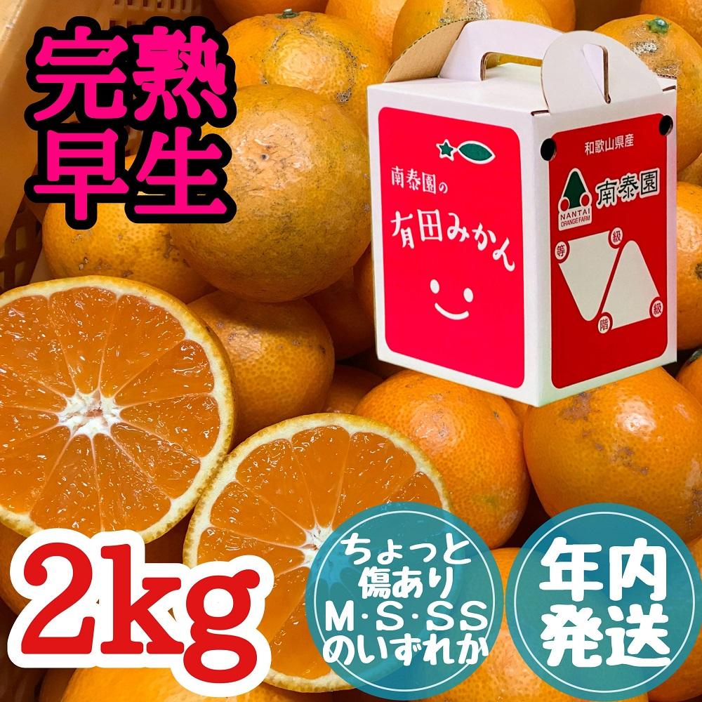年内発送 ちょっと傷あり 完熟早生 有田みかん M ~ SS サイズ 2kg 手さげ箱 みかん | フルーツ 果物 くだもの 食品 人気 おすすめ 送料無料