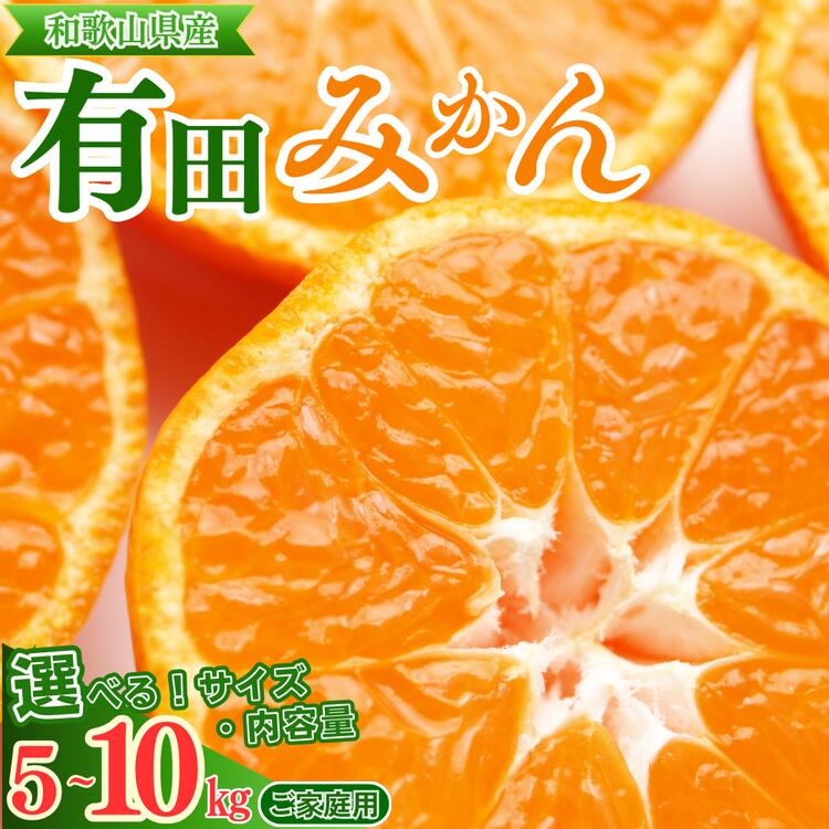 【ご家庭用】 有田みかん 選べる サイズ 内容量 〇 │ みかん フルーツ 果物 柑橘 ※北海道・沖縄・離島への配送不可 ※2025年11月上旬~2026年1月下旬頃に順次発送予定